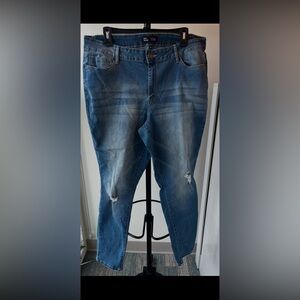 YMI High Rise Skinny Blue Jeans